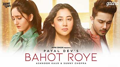 Bohat-Roye-Lyrics-In-Hindi-Payal-Dev